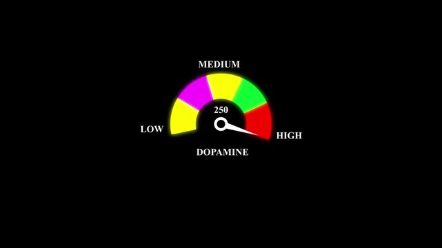 Dopamine Level Meter Gauge Animation Low to High Brain Neurotransmitter Indicator