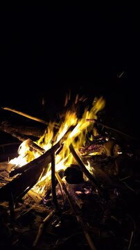 Bright bonfire burning with glowing sparks and flames on wood logs in the dark night outdoors