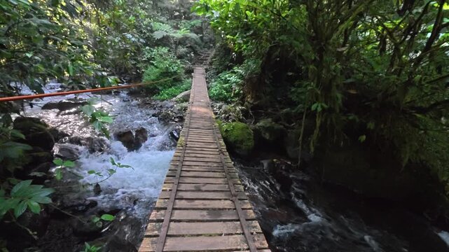 Suspension bridge crosses a small river surrounded by lush green forest landscape