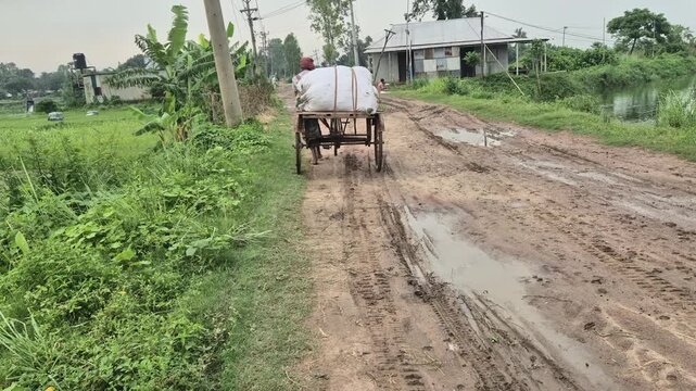 Farmer Transporting Harvested Crops on Three-Wheeled Van Village Life Video