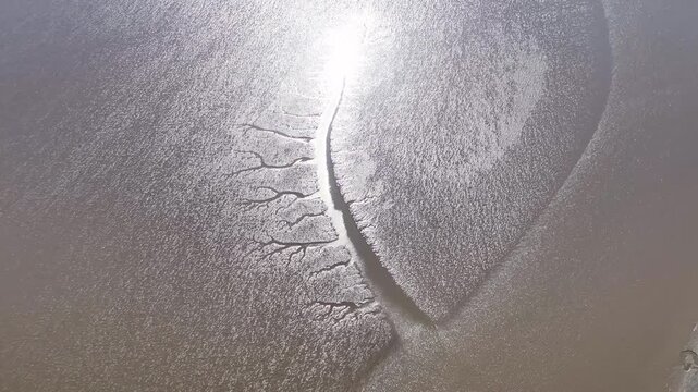 Aerial view of branching tidal channel on shimmering mudflats