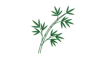 Naklejka premium Green Bamboo Stalk with Leaves Isolated