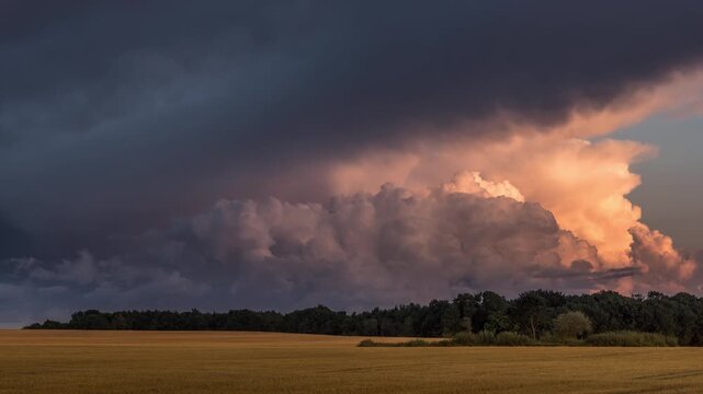 Storm Clouds Over Golden Field at Sunset Timelapse