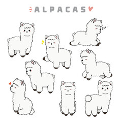 Naklejka premium Alpaca Illustration PNG 
