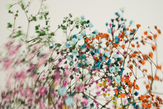 Dreamy Abstract Motion Blur Floral Background In Warm Pastel Tones