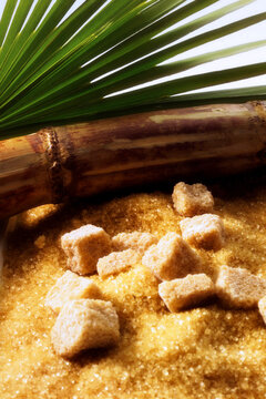 Brown cane sugar, close-up