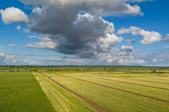 Aerial view of the Vistula River flowing past agricultural fields with rows of crops under a dramatic cloudy sky in Gniew, Pomeranian Voivodeship, Poland.