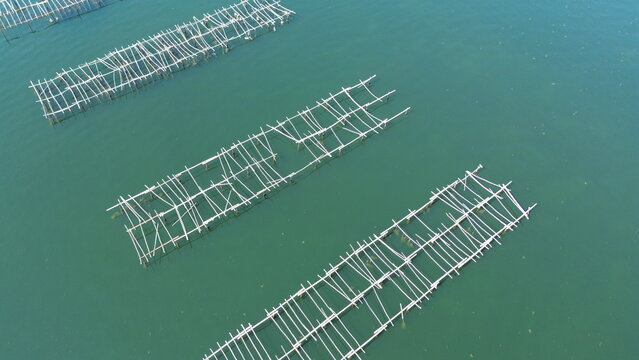 High angle drone shot of traditional oyster farming structures alignment in Thau Lagoon, South of France