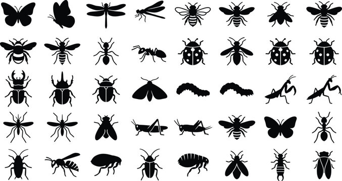Collection of black insect silhouettes featuring butterflies beetles and bees