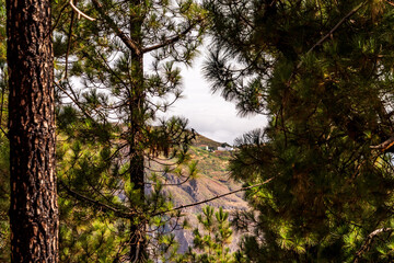 Paisaje en un área recreativa de Gran Canaria. © CarlosHerreros
