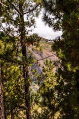 Paisaje en un área recreativa de Gran Canaria. © CarlosHerreros