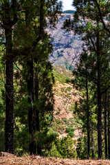Paisaje en un área recreativa de Gran Canaria. © CarlosHerreros
