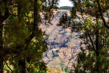 Paisaje en un área recreativa de Gran Canaria. © CarlosHerreros