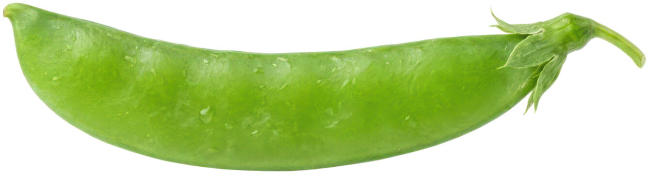Fresh green sugar snap pea pod.