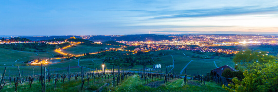 Germany, Stuttgart-Rotenberg, cityscape at twilight with vineyards in the foreground