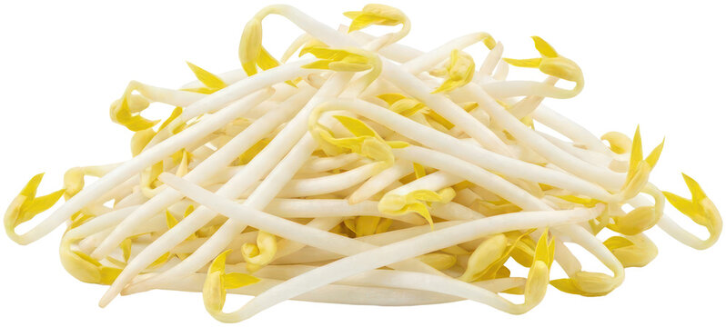 Fresh raw bean sprouts isolated on black background
