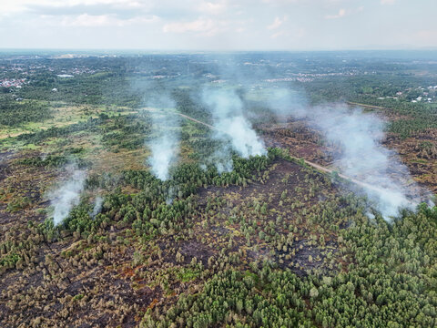 Aerial view of a forest fire with smoke rising from burnt vegetation and green trees in a rural landscape in South Kalimantan, Indonesia.