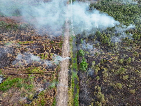 Aerial view of forest fire burning through peatland with smoke rising from charred ground and a narrow dirt path separating the scorched area from green trees in South Kalimantan, Indonesia.