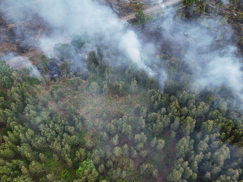 Aerial view of a forest fire with thick smoke rising from burning trees and scorched vegetation near a dirt road in South Kalimantan, Indonesia.