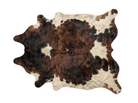 Natural brown and white cowhide rug with authentic spotted fur texture for interior design isolated on transparent background