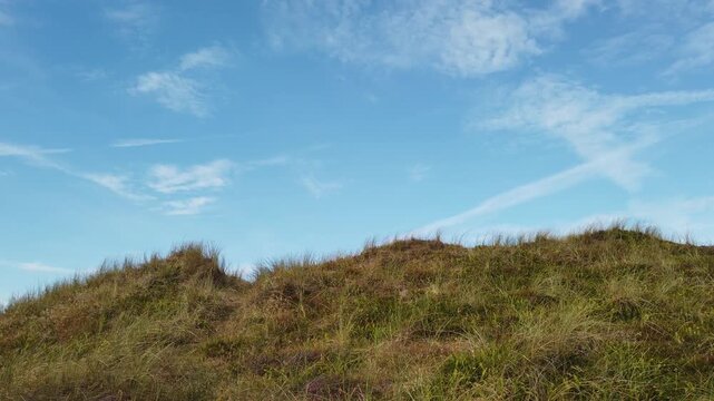 Dunes with grass and a blue sky