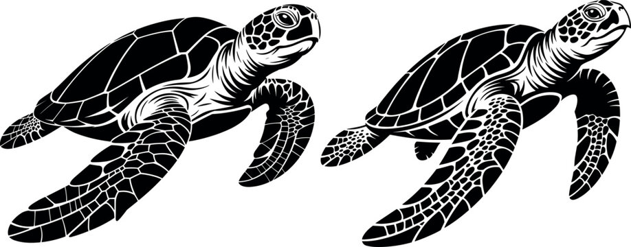 Detailed black and white sea turtle vector illustration showing dynamic swimming poses for ocean and wildlife designs