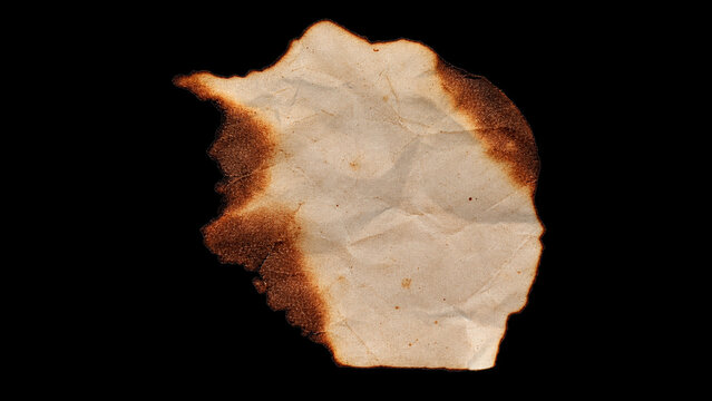Burnt Paper Element 03