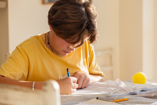 13 year old boy doing geometry homework in light filled room