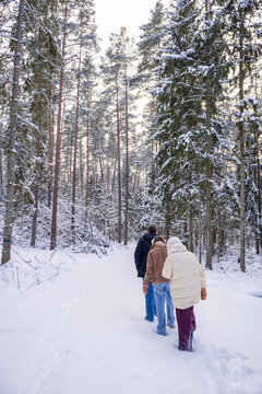 Father and two daughters trample fresh path through deep snow in winter forest viewed from behind. Concept of family adventure and shared exploration through untouched snowy wilderness together.