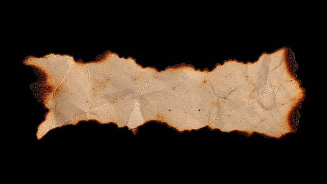 Burnt Paper Element 05