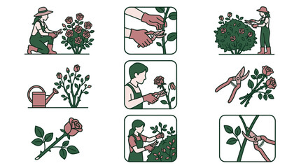 Obraz premium Set of nine flat design icons illustrating rose gardening and pruning, isolated on white. Includes people, tools, and plants.