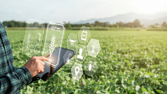 A farmer using a tablet to monitor crops with smart agriculture digital overlays. Ideal for concepts of precision farming and modern agritech innovation.