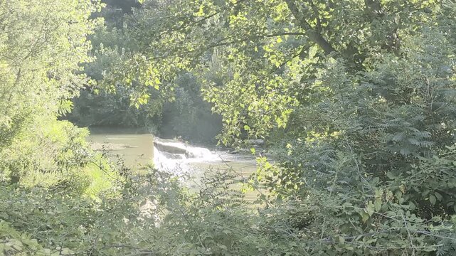 Scorcio naturalistico con un corso d'acqua con una piccola cascata parzialmente nascosta dagli alberi