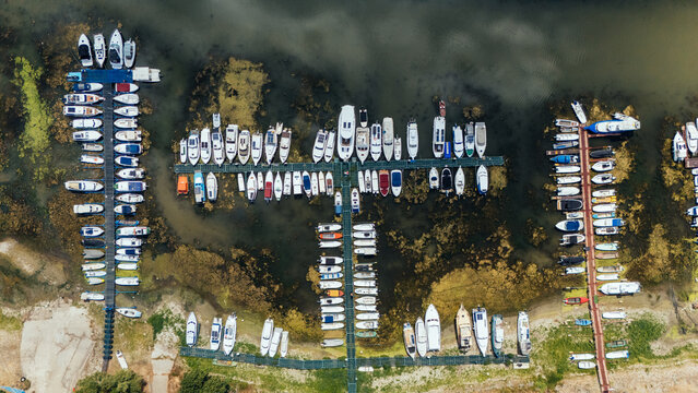 Aerial view of Ribarsko ostrvo marina with numerous boats docked along wooden piers in the Danube river, surrounded by algae-covered water in Novi Sad, Vojvodina, Serbia.