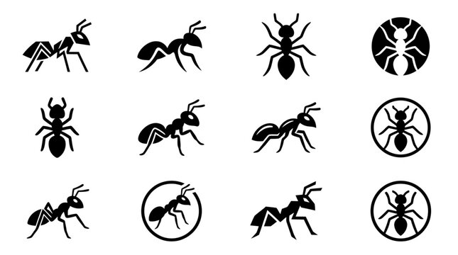 A minimalist black ant icon collection featuring diverse silhouettes and circular designs for branding wildlife or nature insect project templates