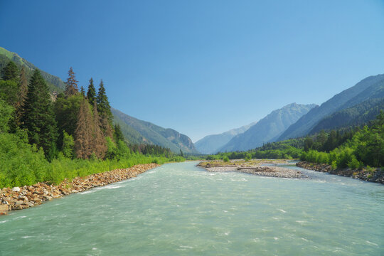 Wide turquoise Teberda river flows through a mountain valley near Dombay under a clear blue sky. Caucasian alpine landscape