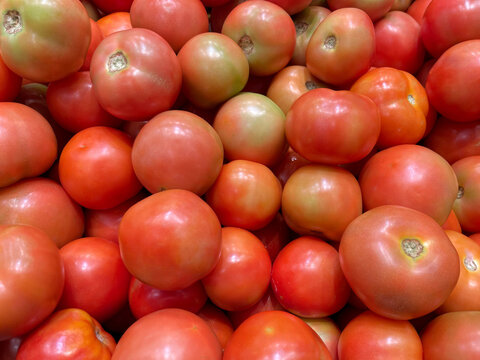 Fresh ripe red tomatoes piled together, showcasing colorful natural produce rich in freshness, nutrition, and healthy cooking ingredients.