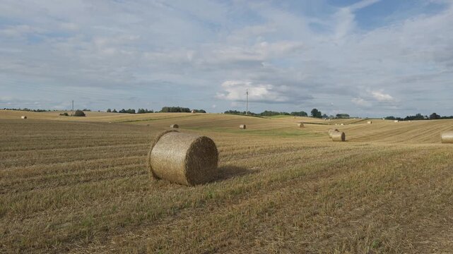 Slow panning shot showing numerous unwrapped round hay bales resting on a harvested agricultural field in rural Poland. Concept of traditional crop harvesting, raw livestock fodder storage, and natura