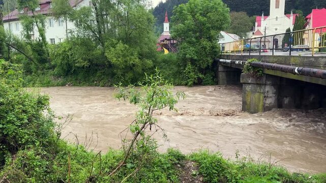 Swollen, muddy Tarnava Mica River flowing with a rapid current under a bridge. Rising water levels after heavy rainfall causing a flood