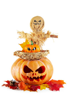 Halloween pumpkins and a scarecrow isolated on a white background.