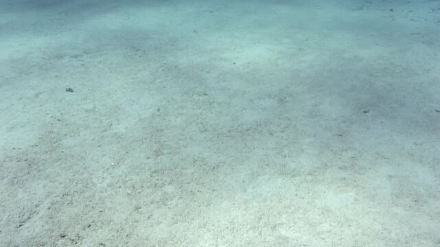 The frames show an underwater location with a sandy floor. The video captures the gradual changes in sediment deposition and movement in a marine environment over a time period.