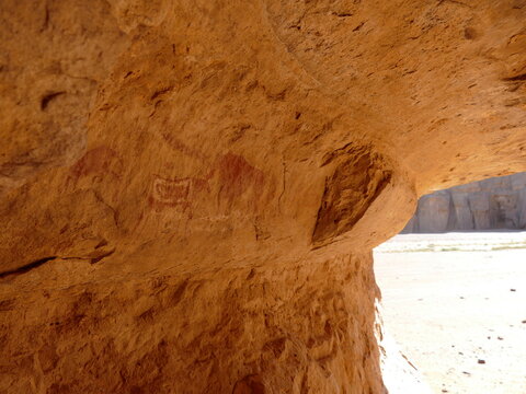 Red Ochre Cow Rock Painting Inside Cave Shelter Tassili n&rsquo;Ajjer Algeria