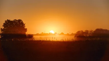 Fotobehang Bruin Bright sun rising over misty field with tree silhouettes at dawn. Golden sunrise countryside landscape with low fog layer, glowing orange sky, and tranquil view.  © tygrys74