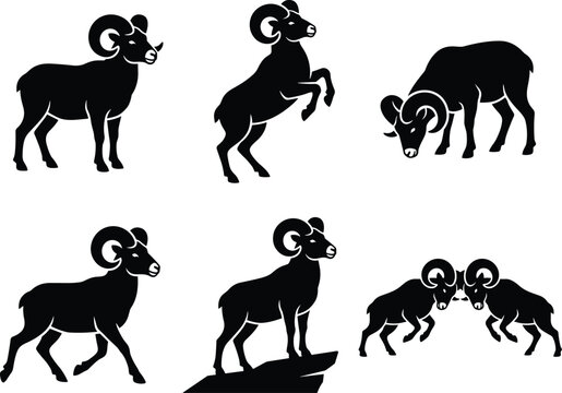 Set of black ram silhouettes showing bighorn sheep in various poses and actions isolated on a white background, for wildlife