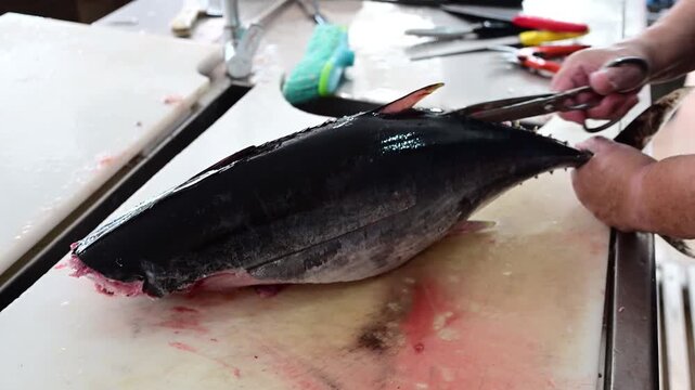 Fisherman expertly skinning a fresh tuna at a market stall