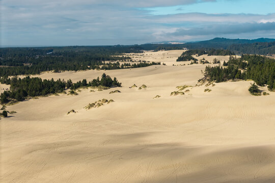 Aerial view of the expansive Coos Bay sand dunes featuring rolling sandy hills, patches of evergreen forest, and soft shadows in Coos Bay, Oregon, United States.