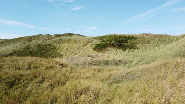Dunes with grass and a blue sky