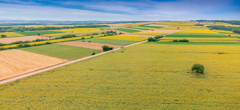 Aerial view showing a patchwork of colorful crop fields, including bright yellow sunflowers, green crops, and golden wheat, with a road crossing the serene countryside