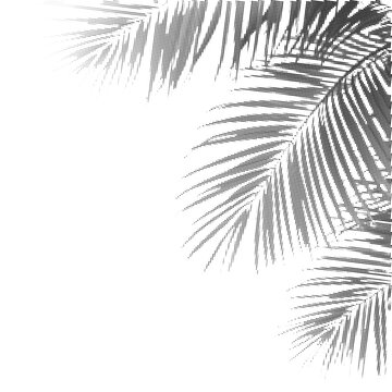 Halftone Palm Leaves Corner Frame Tropical Foliage Vintage Dot Art Vector