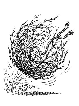 Rolling Tumbleweed Hand Drawn Ink Illustration